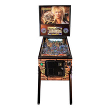 Load image into Gallery viewer, Labyrinth Pinball Machine - Reality Games Australia