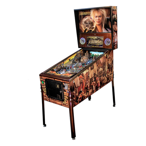 Labyrinth Pinball Machine - Reality Games Australia